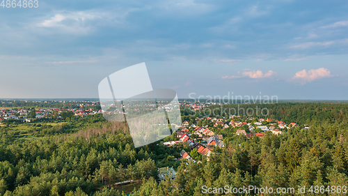 Image of Polish part of Bialowieza Forest to north