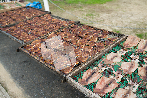 Image of Drying squid and fish in market