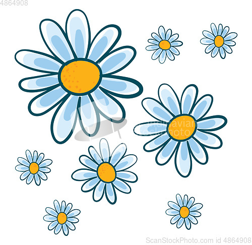 Image of White chamomile flowers vector illustration on white background.