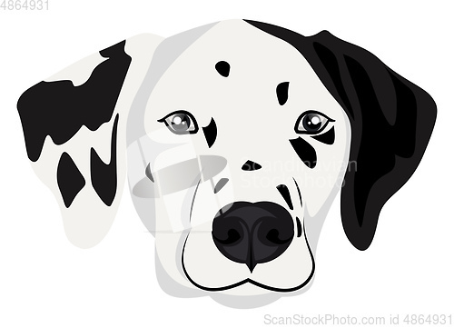 Image of Dalmatian illustration vector on white background