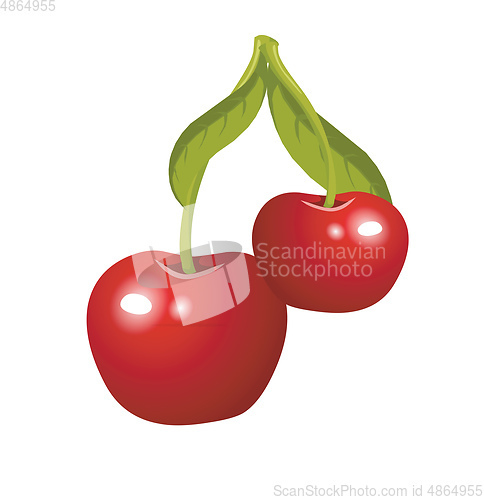 Image of Two ripe red cherries vector or color illustration