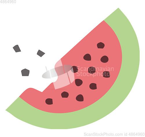 Image of Watermelon slice with seeds vector or color illustration