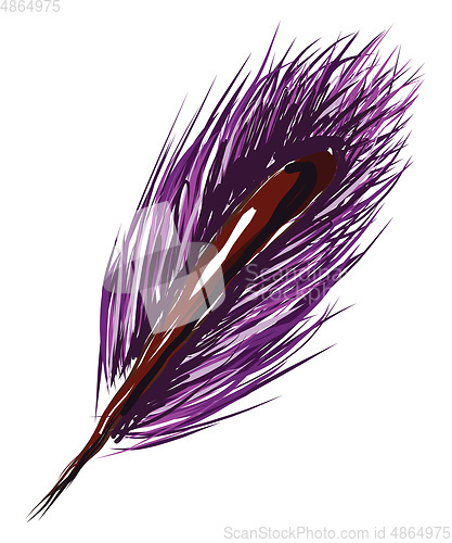 Image of A purple feather, vector color illustration.