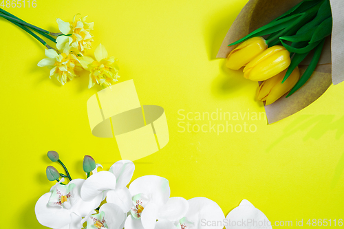 Image of Monochrome stylish composition in yellow color. Top view, flat lay.