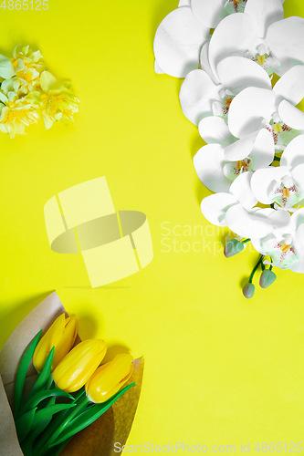 Image of Monochrome stylish composition in yellow color. Top view, flat lay.