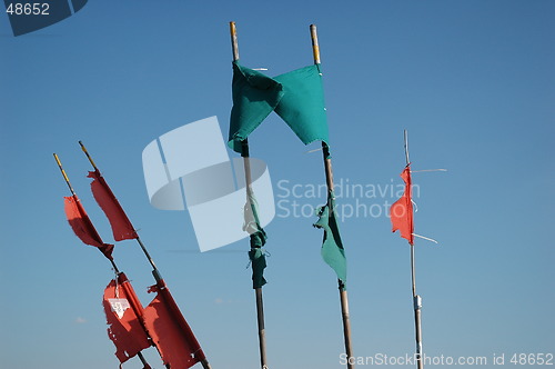 Image of Flags