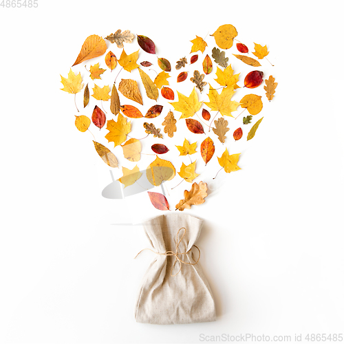 Image of autumn leaves in shape of heart and linen bag