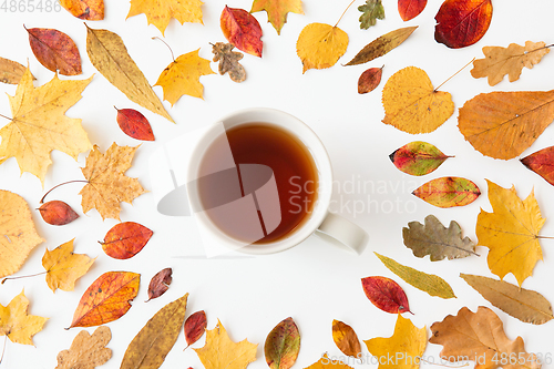 Image of cup of black tea and different dry autumn leaves