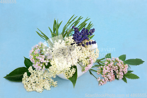 Image of Valerian Lavender and Elder Flower Calming Herbs