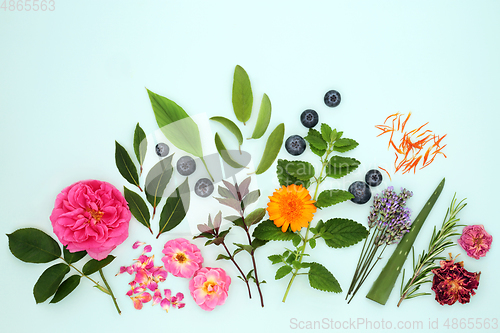 Image of Herbs and Flowers for Natural Skincare Plant Based Treatments