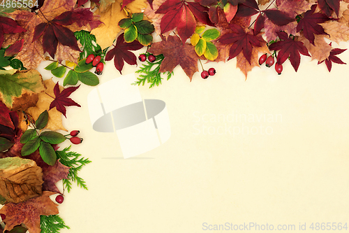 Image of Autumn Leaf and Berry Background Border 