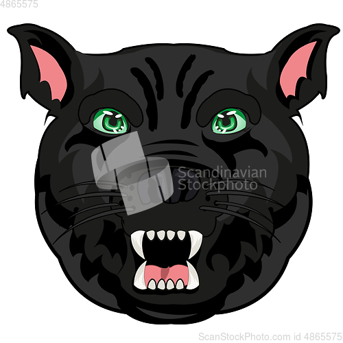 Image of Blackenning panther portrait on white background is insulated