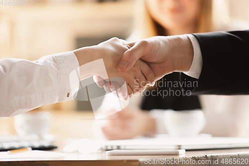 Image of Close up of caucasian human hands, shaking, working in office, business, people