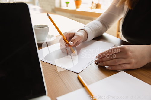 Image of Close up of caucasian female hands, working in office, business, people