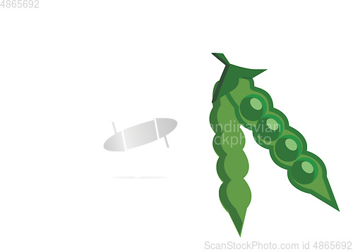 Image of A green pea pod with several peas in the branches of a tree vect