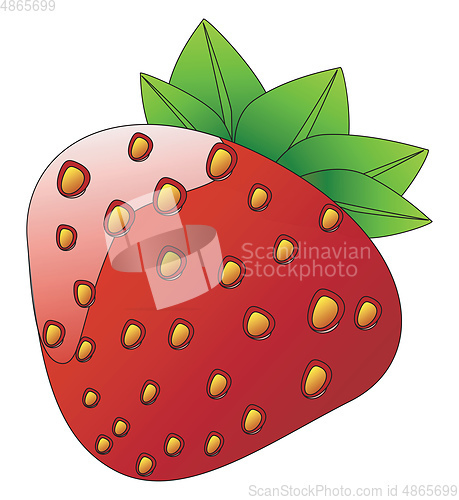 Image of A red juicy strawberry vector or color illustration