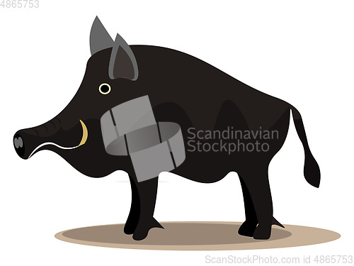 Image of A large black wild pig vector or color illustration