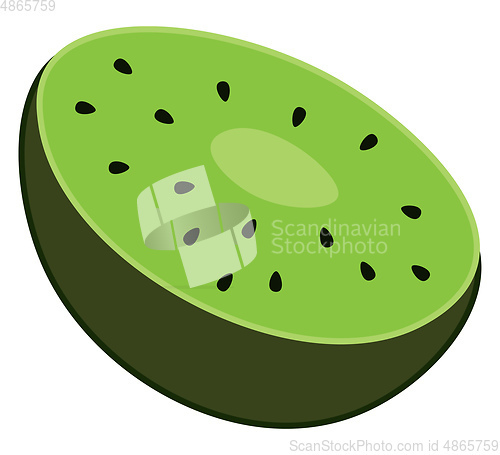 Image of A half cut kiwi fruit vector or color illustration