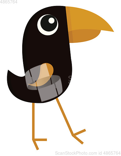 Image of Black bird with big beak  illustration color vector on white bac