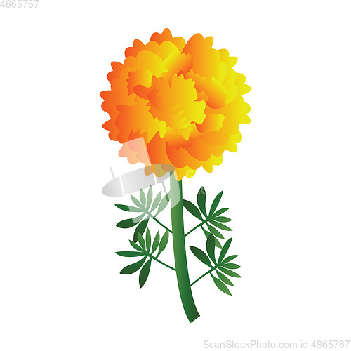 Image of Vector illustration of bright yellow marigold flower with green 