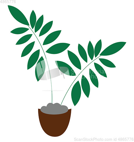 Image of Clipart of a brown pot with green plants vector or color illustr