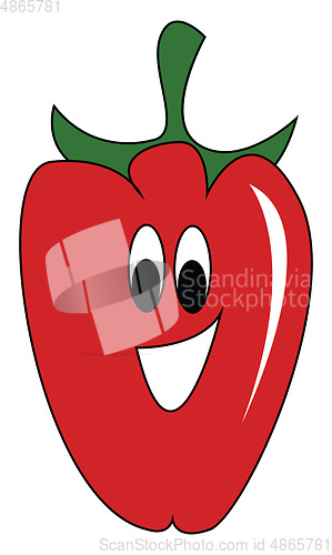 Image of A red pepper vector or color illustration