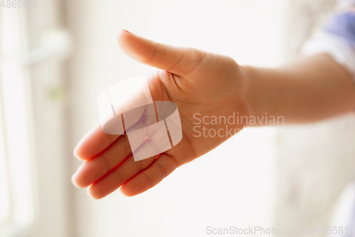 Image of Close up view of caucasian female hand greeting somebody, copyspace