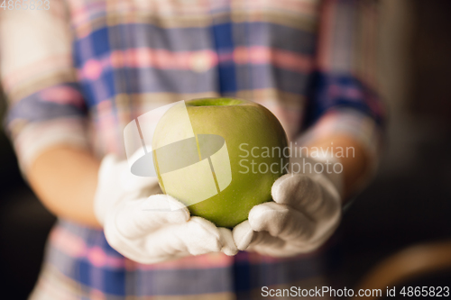 Image of Close up of female hand holding green apple, healthy food, fruits