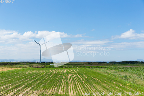 Image of Wind turbines 