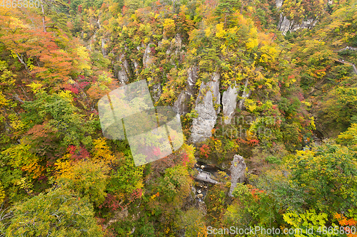 Image of Naruko canyon of japan in autumn