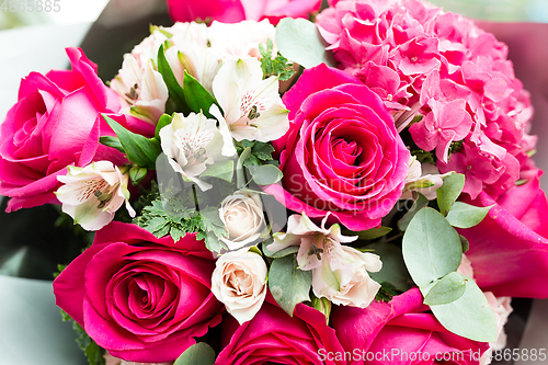 Image of Beautiful pink roses