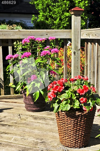 Image of Flower pots on house deck