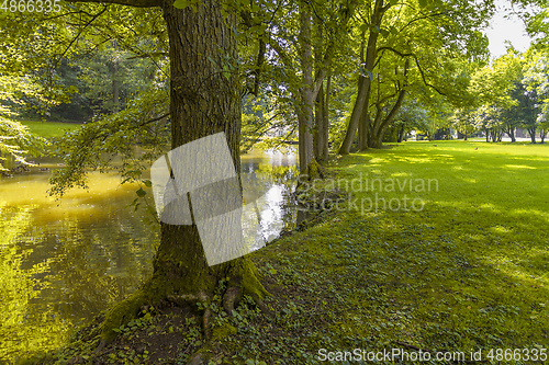 Image of idyllic park scenery