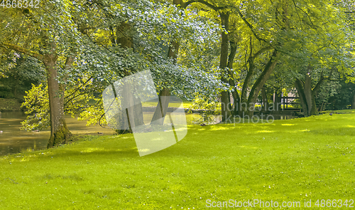 Image of idyllic park scenery