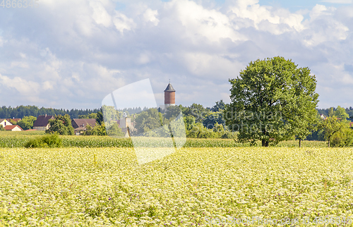 Image of village in Hohenlohe