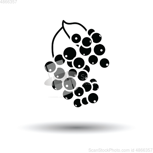 Image of Black currant icon