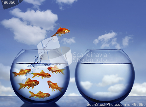 Image of goldfish jumping out of the water