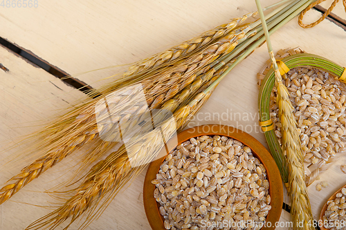 Image of organic wheat grains