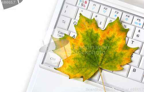 Image of Laptop keyboard and  Autumn leaf