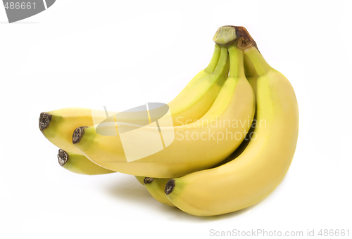 Image of A bunch of bananas