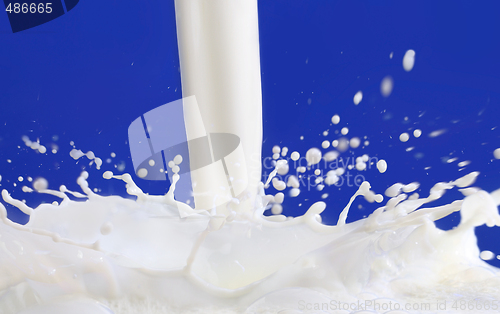 Image of Milk flowing with blue background