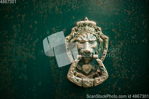 Image of Lion door knock 