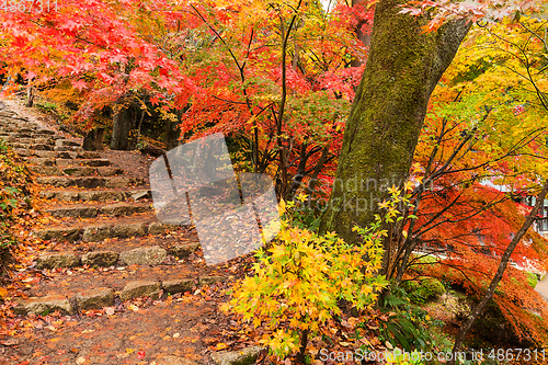 Image of Japanese temple in autumn