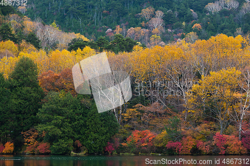 Image of Yunoko lake in Nikko