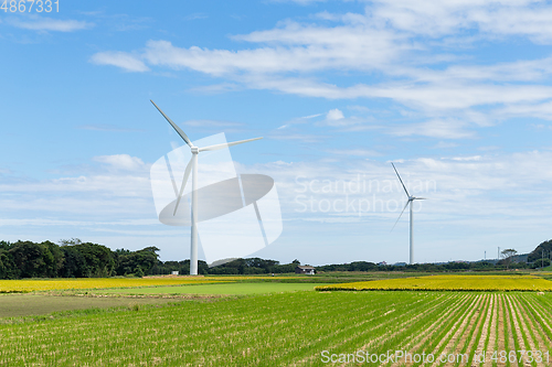 Image of Wind turbine and field