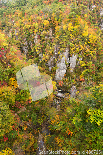 Image of Naruko canyon in autumn season