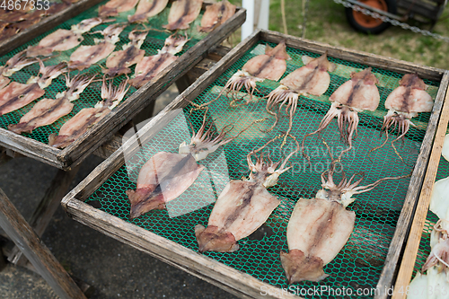 Image of Drying squid in market
