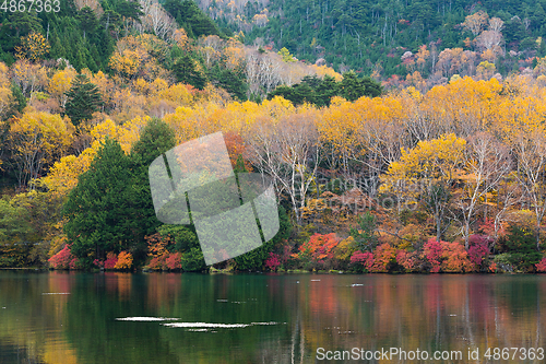 Image of Yunoko lake in Nikko