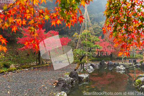 Image of Japanese garden