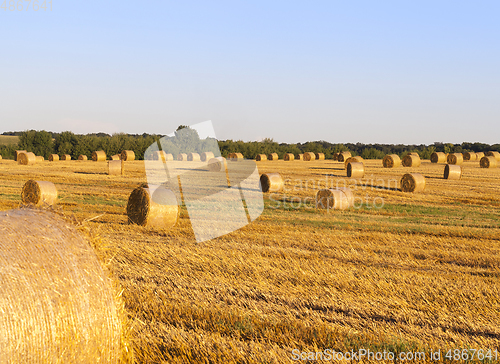 Image of summer landscape